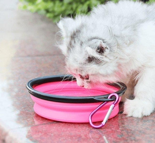 JetSetPet 2-in-1 Travel Water Bottle